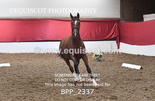 BPP_2337 - AFTERNOON 12.30 - 3.30PM