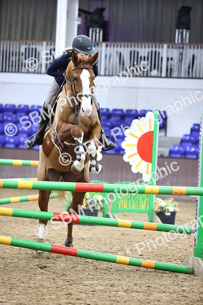 SBM_2152 - Class 8 - Nupafeed Supplements Senior Discovery/ 1m Open