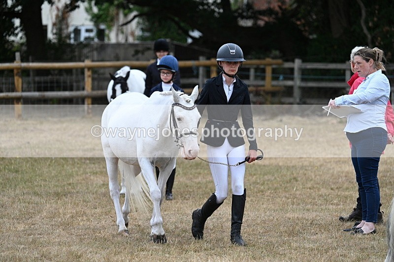 WJ7_8067 - Class 4 Prettiest Mare up to 14.2hh