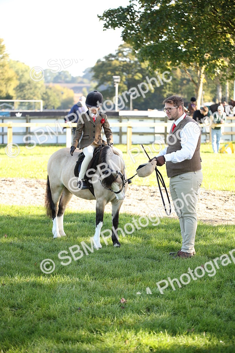 SBM_34245 - S9 - Lead Rein Equitation