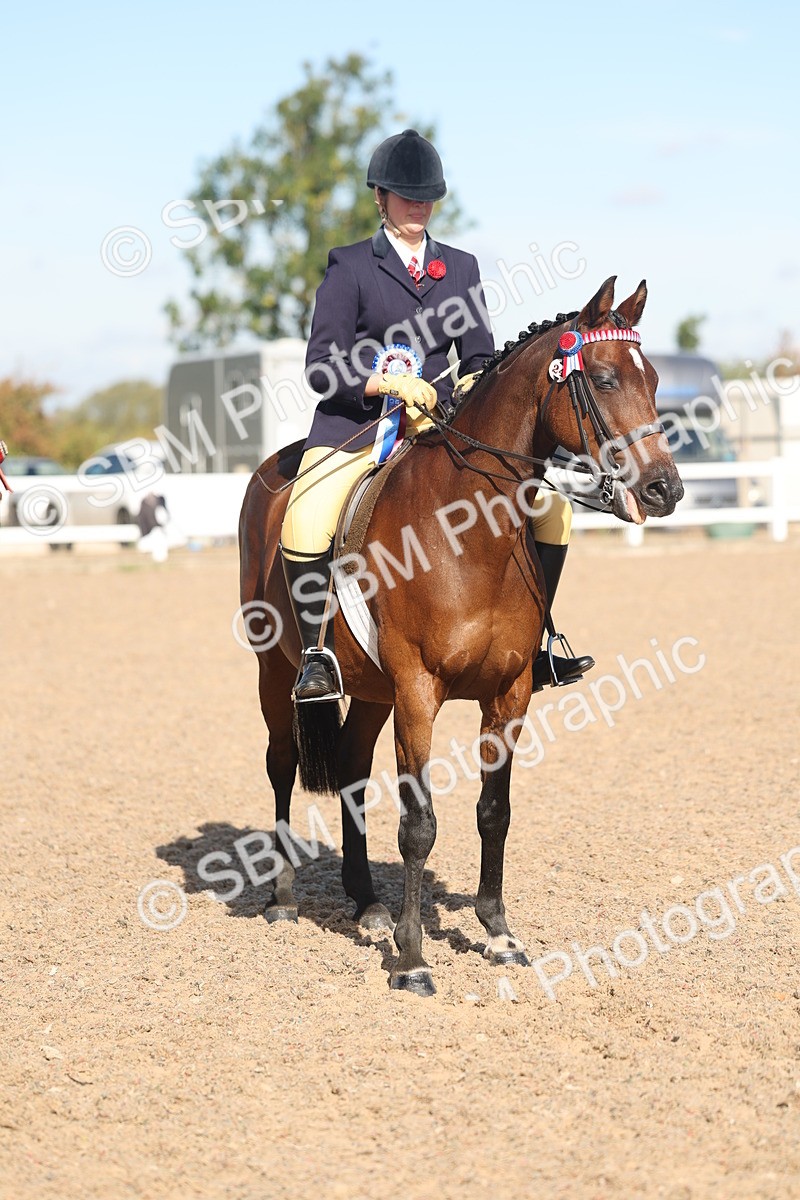 SBM_12419 - Class 304 - Ridden part Bred Horse Pony