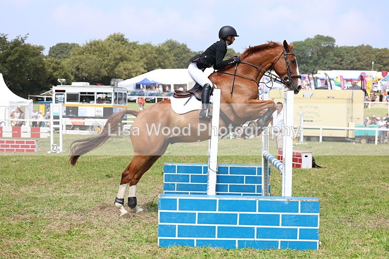 3E7A3011 - Class 7: Senior British Novice/90cm open
