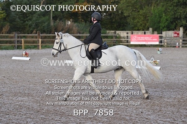 BPP_7858 - LONG ARENA
