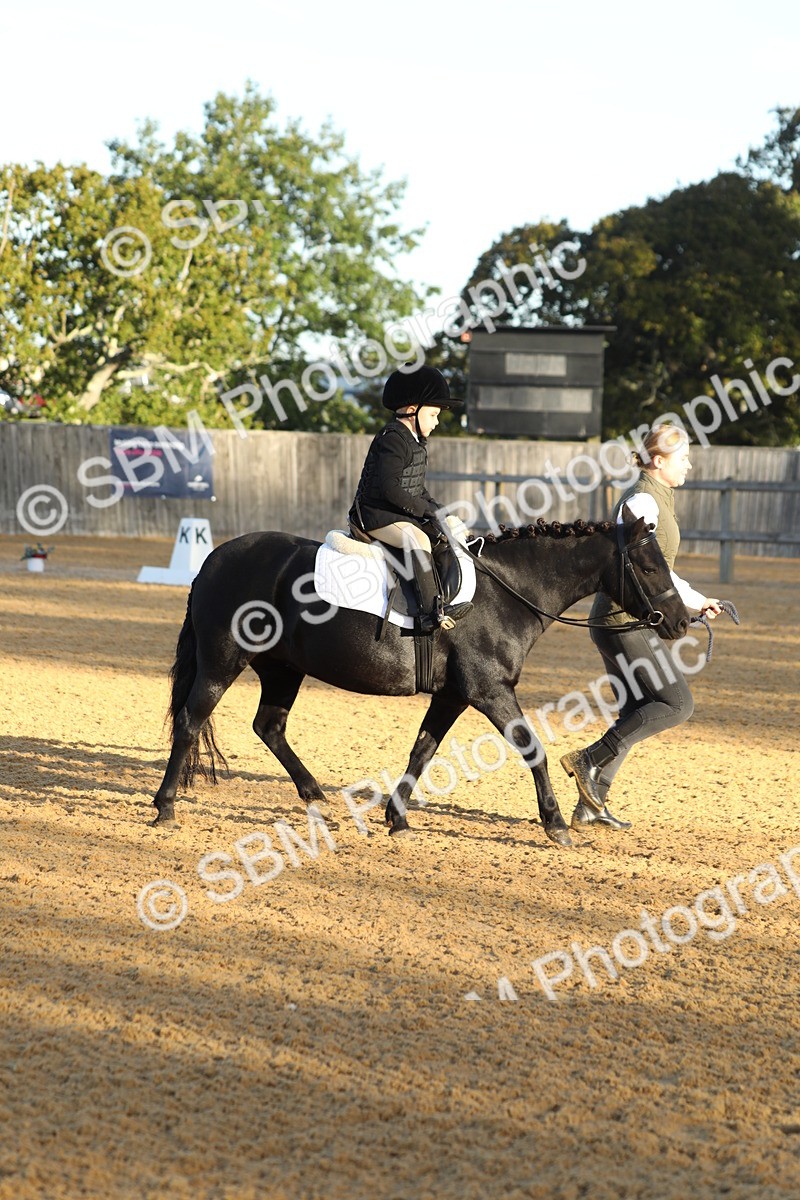 SBM_33563 - D26 - Starers - Lead Rein