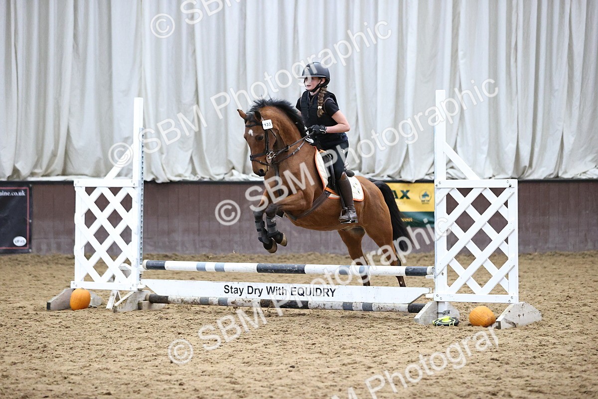 SBM_001282 - Class 3 - Horse & Hound 60cm