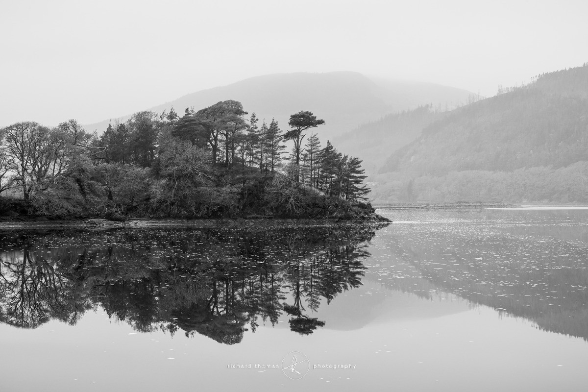 Mawddach reflection. - Mono Mist Trees