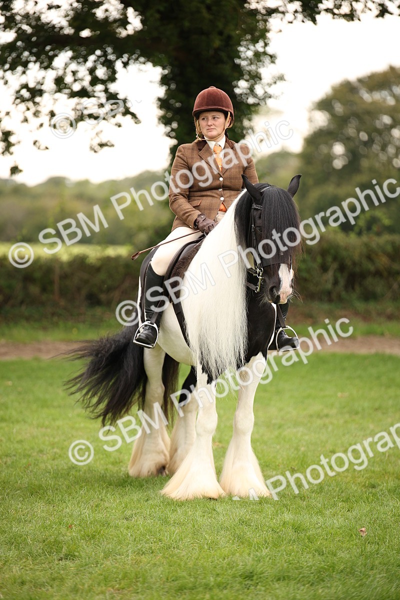 SBM_73563 - S68 - Traditional Cob Ridden