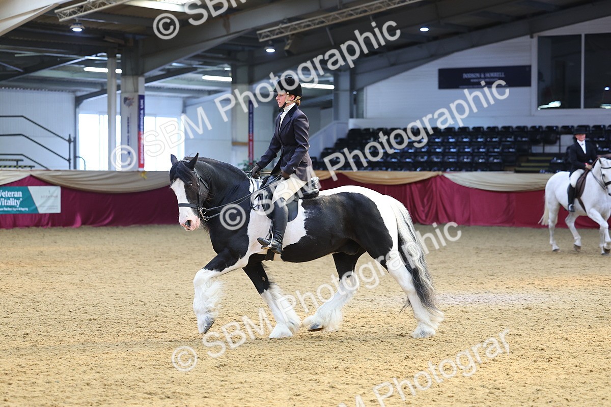 SBM_24377 - Class 906 - Supreme Final - Ridden Pre Vet