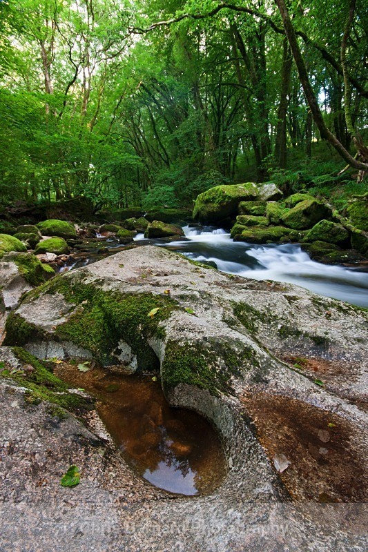 IMG_7695 - Golitha Falls