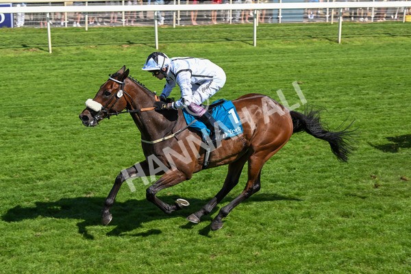 120725-Race 4-Al Qareem-5806 - Race 4 3.45pm John Smith's Silver Cup Stakes