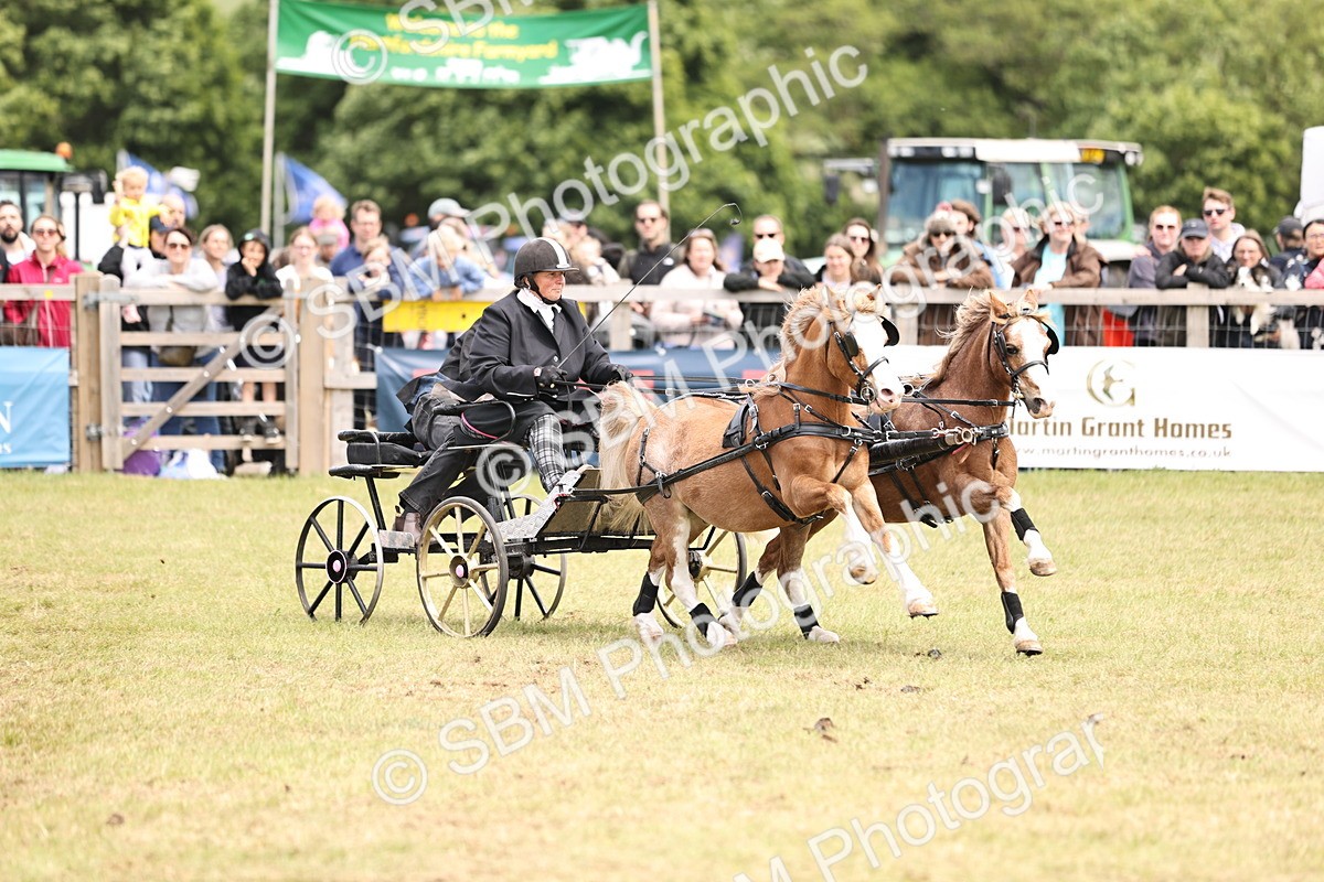 SBM_15267 - Class 90 - Scurry 122cm and Under