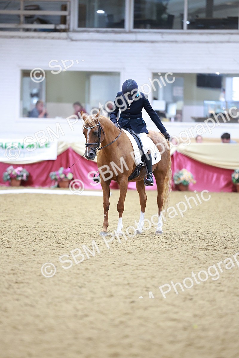 SBM_09753 - Class 61 - Dressage to Music