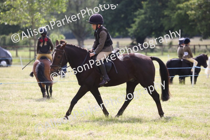20260614-0524 - Class 20 - Beginners Working Hunter Pony