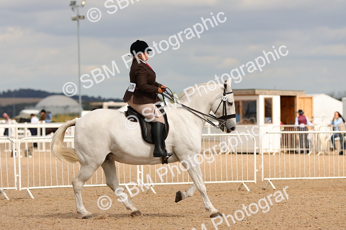 SBM_15559 - Class 214 - Ridden Show Cob