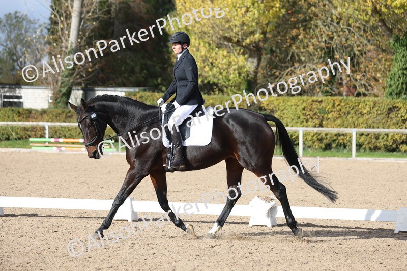 20251101-0653 - Class 5 - Novice 3