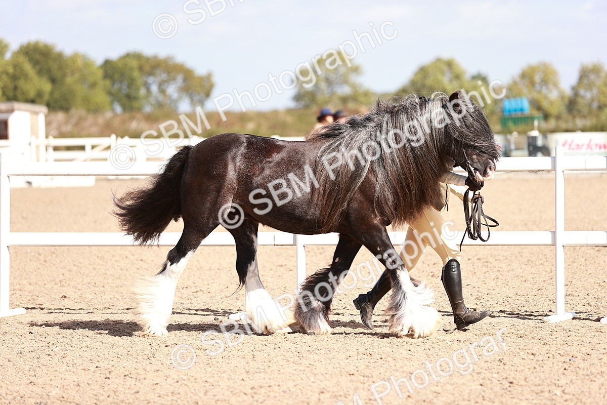 SBM_22973 - Class 707 - IH groom Helpers Class