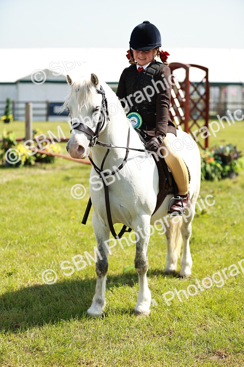 SBM_12828 - Class 106-107 - BSPS LIHS Working Sports Pony