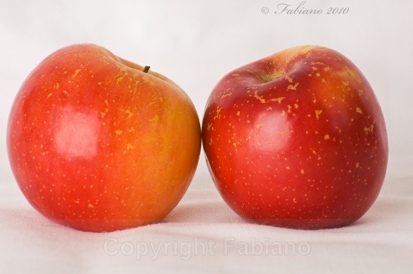 Fruit - General Photography