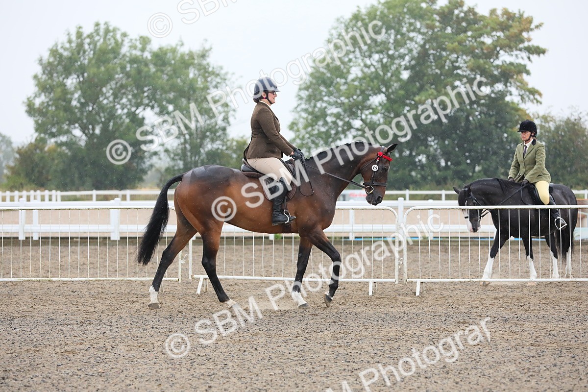 SBM_20002 - Class 802 - Ridden Groom - Helpers class