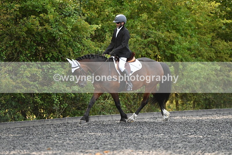 WJ5_9408 - Time 10:10 to 10:47