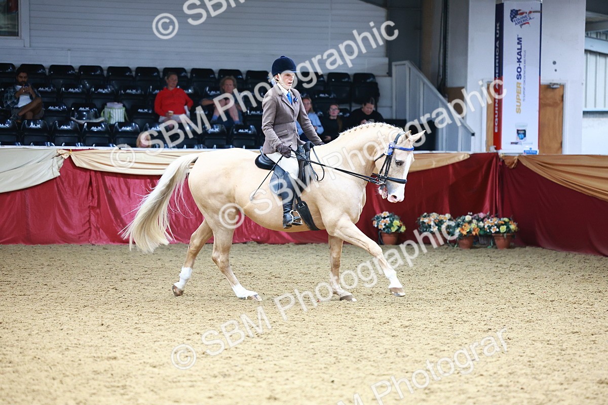 SBM_23800 - Class 905 - Supreme Final - Ridden Veteran