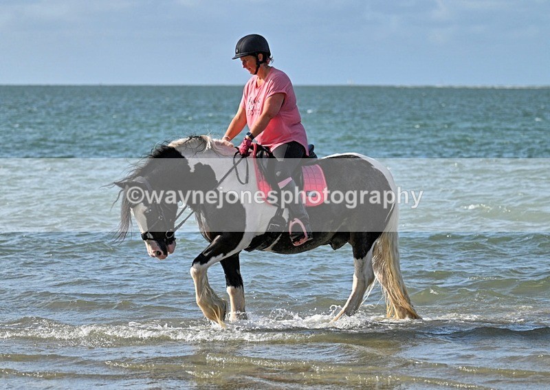 WJ7_4146_1 - Kellie & Churchill ... do Hayling Island 25-08-24