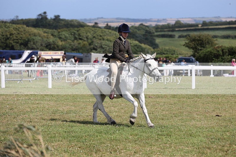 JPP_2241 - Class 19: Working Hunter 60cm