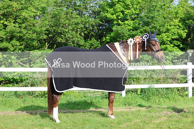 3E7A0307 - Verity Perry