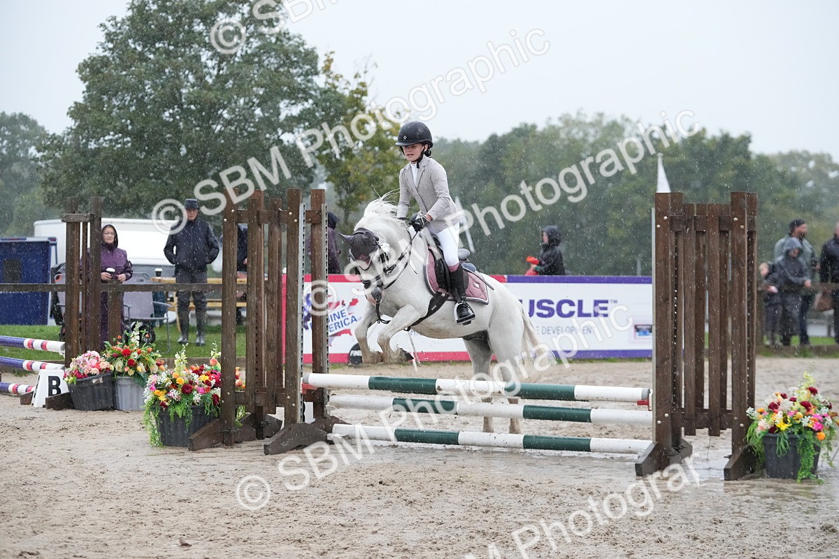 SBM_36129 - J5 - Junior Pony 50cm Championship