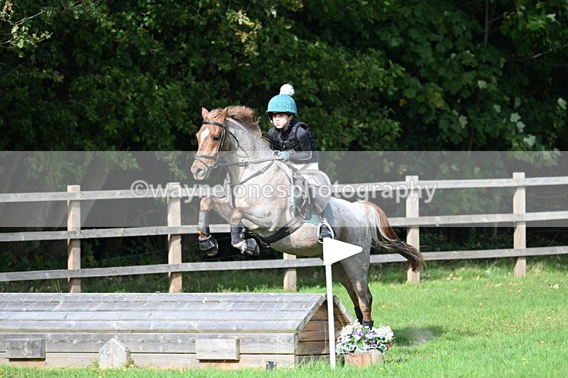 WJ7_5027 - 60cm Time 11:11 to 11:19