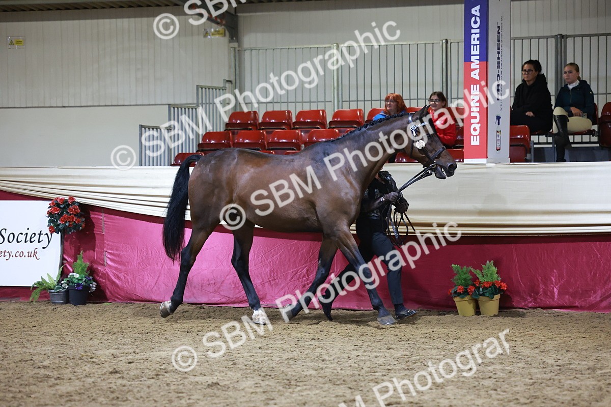 SBM_21524 - Class V - Champion of Champions