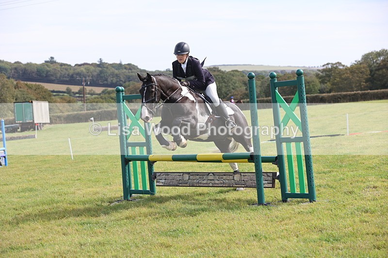 JPP_8601 - Class 2: Trekenning: 80cm Showjumping