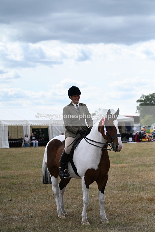 WJ7_5540 - Class 12 Ridden Cob