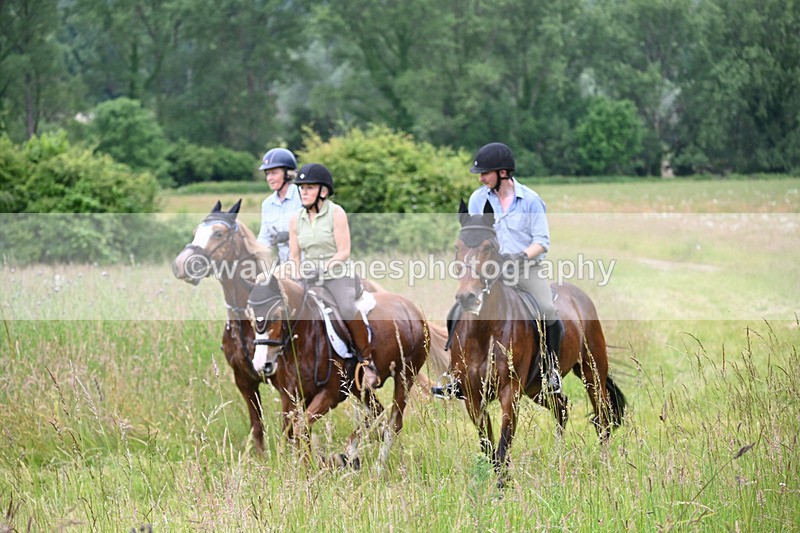 WJ6_8460 - Camera 1 Gallops