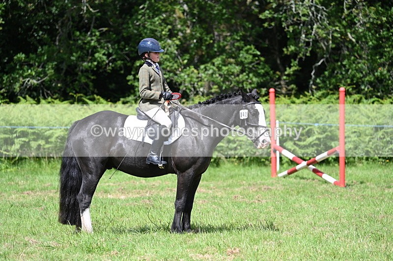 WJ7_1801 - Class 9 Pony Club Pony