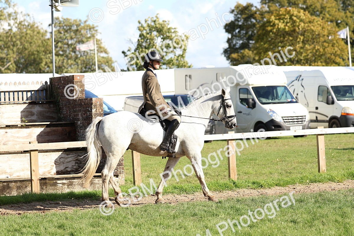 SBM_52345 - S13 - Pony Club Pony