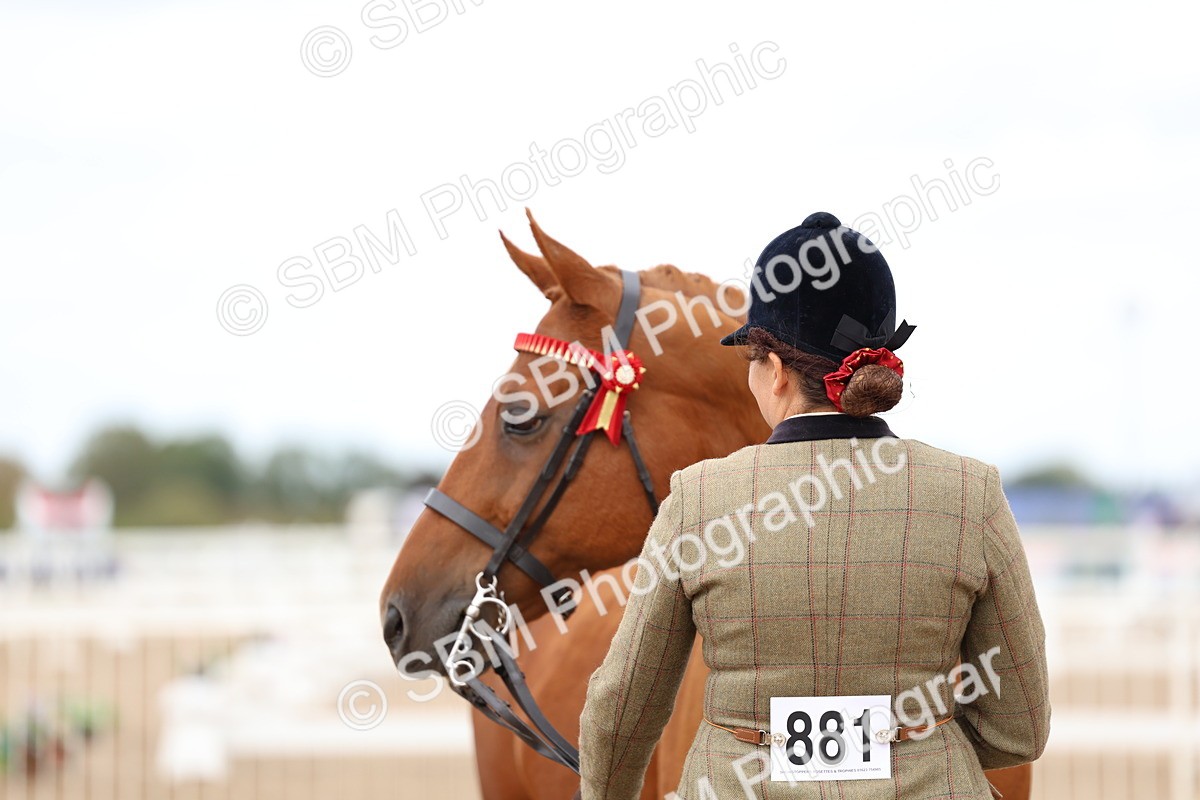 SBM_04508 - Class 26 - IH Foreign Breeds - Part Bred