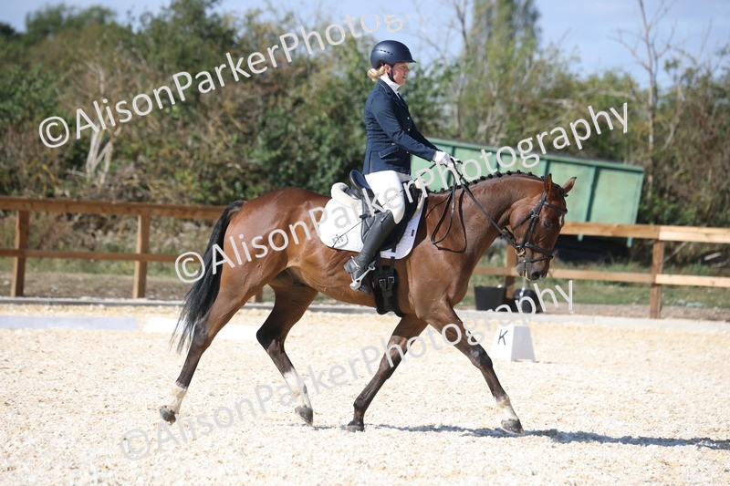 20260905-1481 - Class 5 - Novice 2