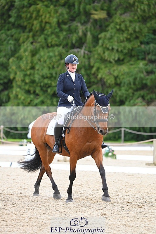 230813-132148-07547 - Cls 13 Medium Bronze 13.15 to End