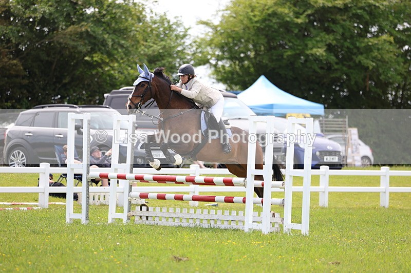3E7A1455 - Class 13: Senior British Novice/90cm open