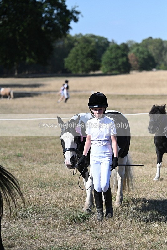 WJ7_2002 - Class 43 Best Six Legs (In hand)