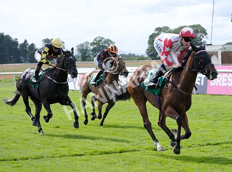 260724-Race 5-Etoile dAlexandre-06 - Race 5