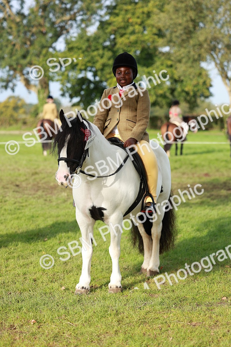 SBM_56401 - S39 - Starters In Hand Showing