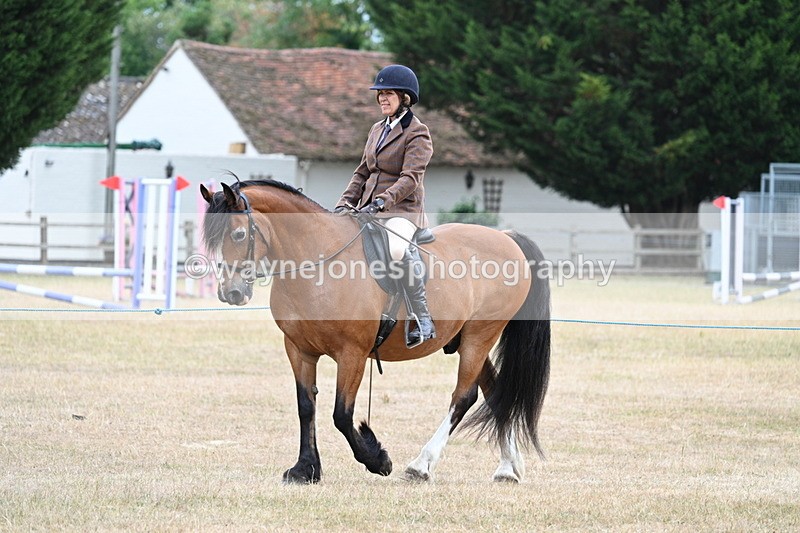 WJ7_0258 - Class 6 Ridden Mountain and Moorland