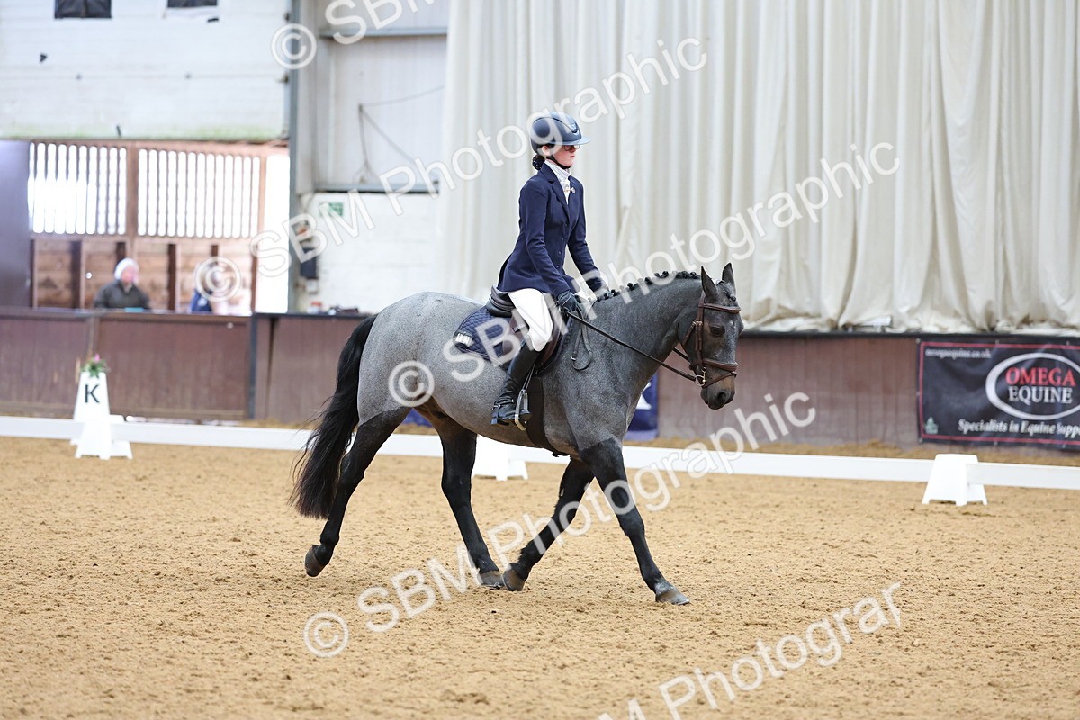SBM_002595 - Novice
