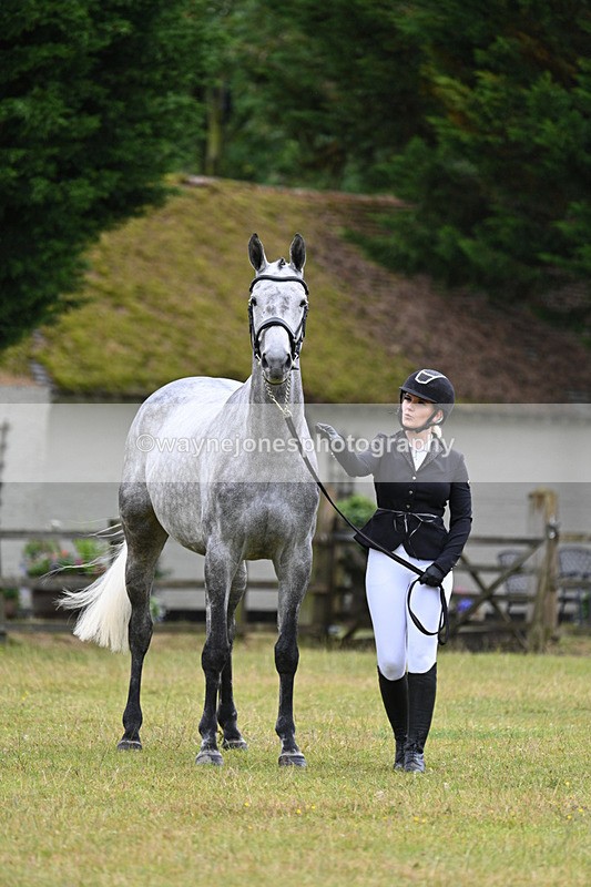 WJ7_6135 - Class 4a Prettiest Mare over 14hh