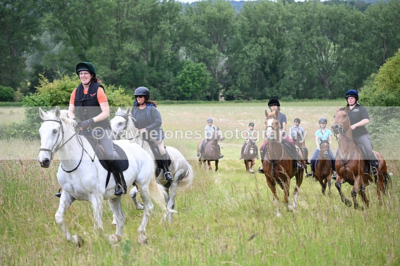 WJ6_8414 - Camera 1 Gallops