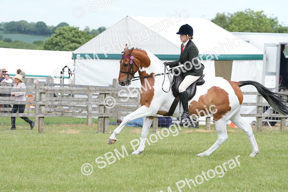 SBM_17599 - Class 107-108 - LIHS BSPS Performance Coloured Horse Pony