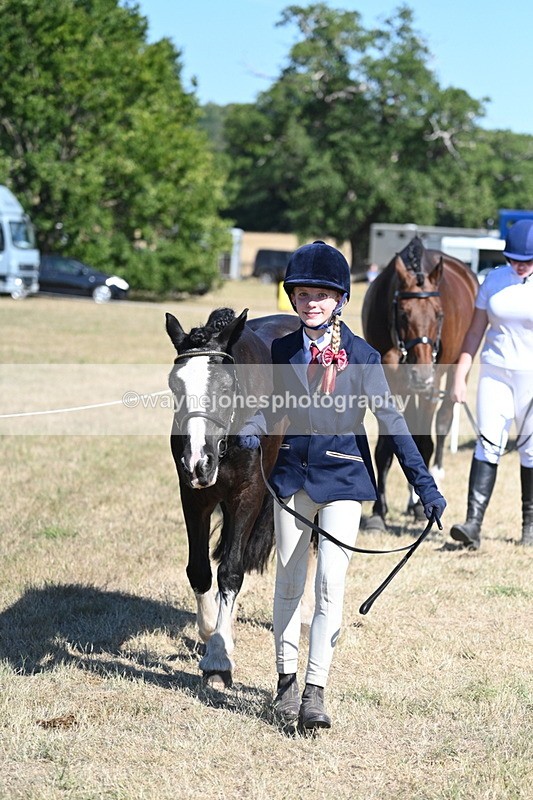 WJ7_1836 - Class 43 Best Six Legs (In hand)