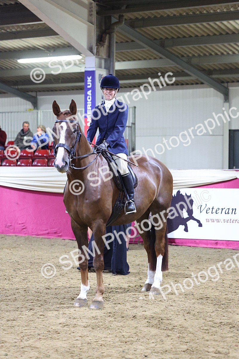 SBM_19171 - Class I Competition/ Riding Club Champ